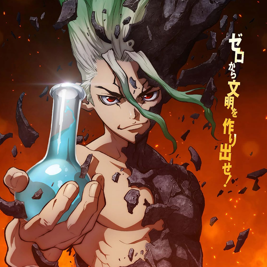 dr stone